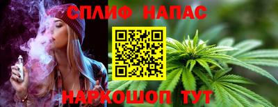 Альфа ПВП Моздок