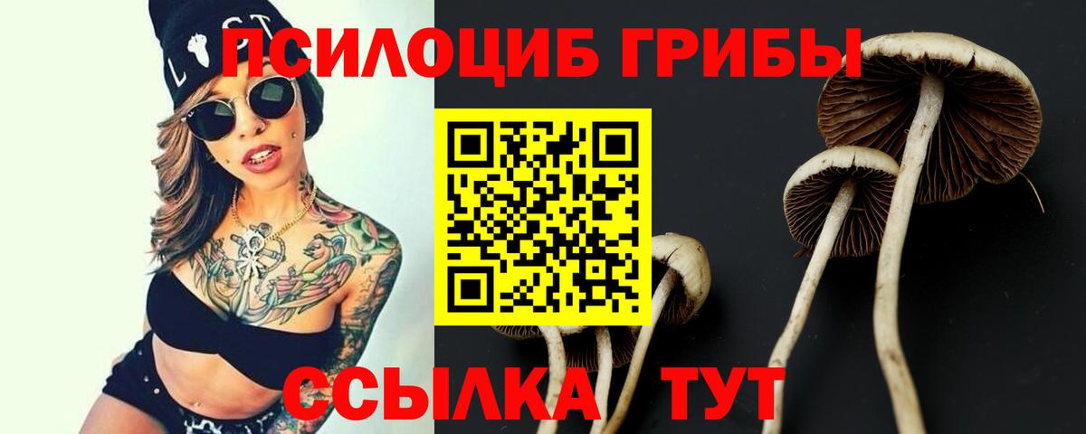 Тула  Псилоцибиновые грибы Magic Shrooms  Вход с VPN 